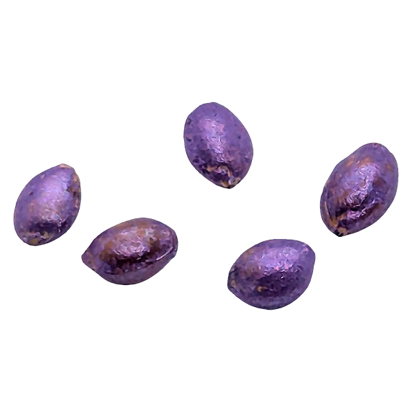 Bag Seed Co - Wedding Cake