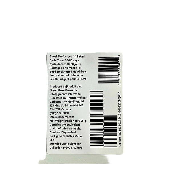 Green Rose Seeds - 41 Ghosts (auto Fem Seeds)