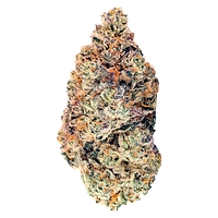 BLK MKT - Sunset Strudel