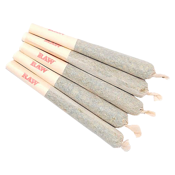 Sixty Seven Sins - Gary Satan Pre-Roll