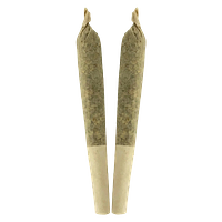 Sheeesh! - Double Bubbs Pre-Rolls