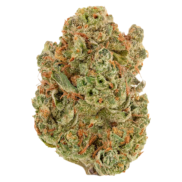 Sheeesh! - Double Bubbs