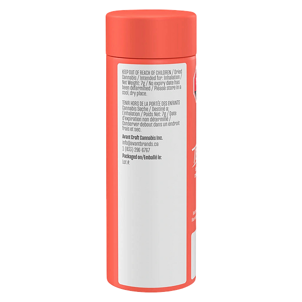 Tenzo - Sweet Dreams