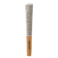 Pistol and Paris - Gas Cake Jungle Boys Cut Pre-roll