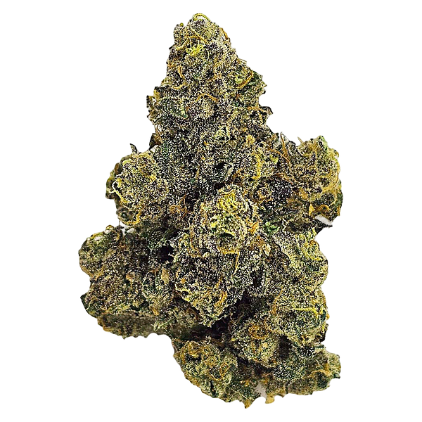 Unit 15 - Purple Octane