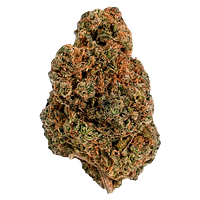 Cannabis Cartel Quads - King's Counsel