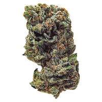 True Fire - Gasolina