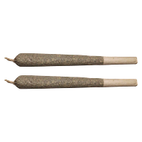 Can We - Craft Reserve Pre-Roll