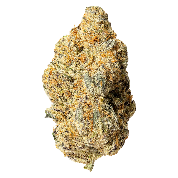 Cultures Chloris - Zombie Bride