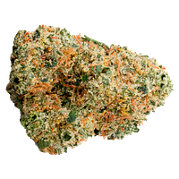 EastCann - Rainbow Pavé