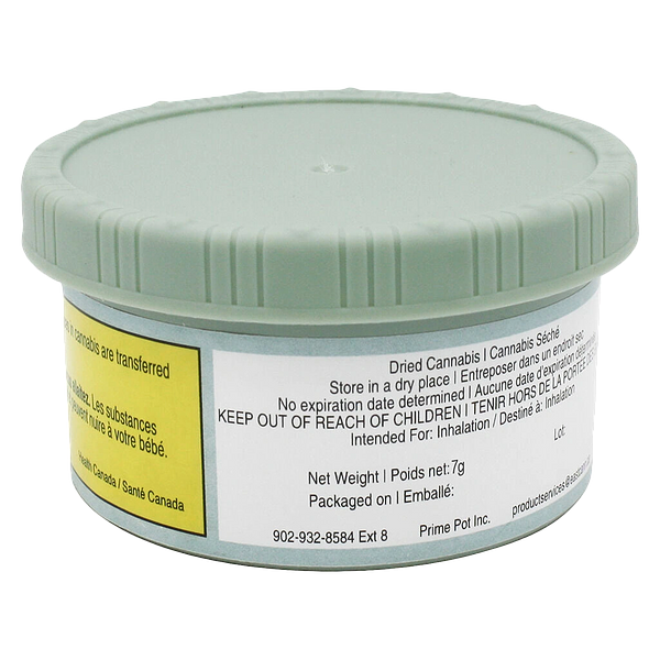 EastCann - Rainbow Pavé