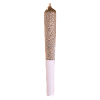 Station House - Pink Kush Express Infused Pre-Roll