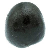 Crooked Dory - Skippers Classic Black Hash