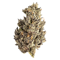 Seaweed - James' Celebration: Craft Small Batch Rotational