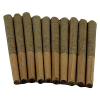 Buzz'd - Exotic Stingerz Pre-Rolls