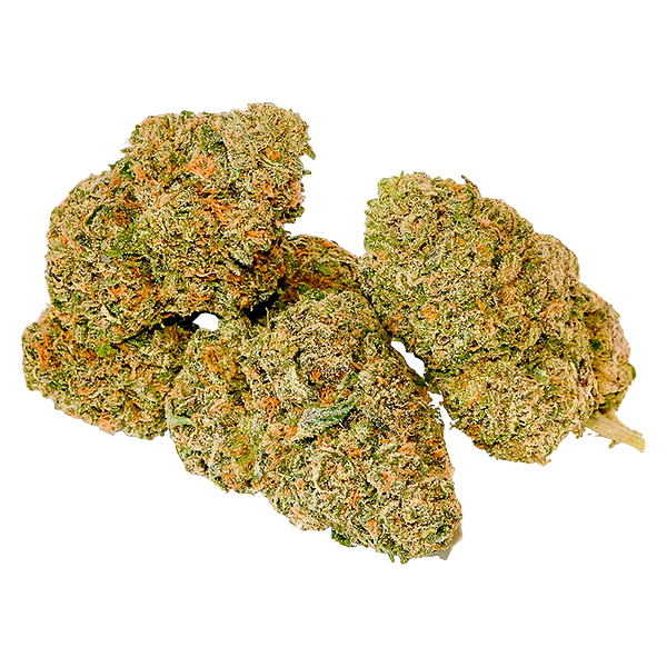 Cannabis Cartel Quads - GSC
