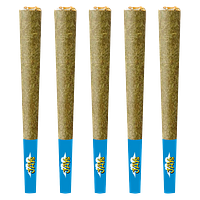 JAYS - Old School All Hash Pre Roll