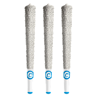 C. - Hawaiian Rain Diamond Coated Infused Pre Roll