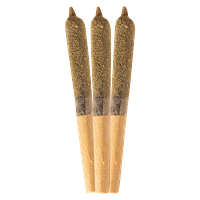 Weed Me Max - Dragon Fruit Infused Pre Roll