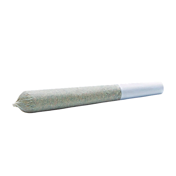 Wildlife Cannabis Co. - Galactic Cherry Pre-Roll