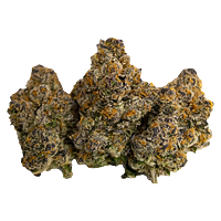 Royal Cannabis Supply Co. - White Hot Guava