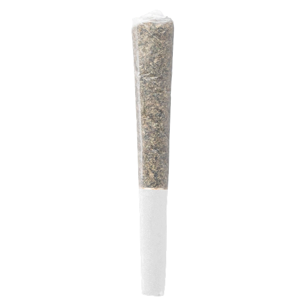 HER.B - Live Bloom Infused Pre-Roll
