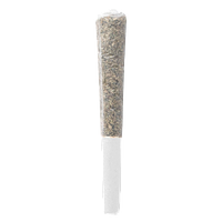 HER.B - Live Bloom Infused Pre-Roll