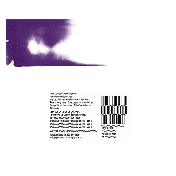 Community c/o Purple Hills - Archives