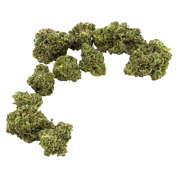 Community c/o Purple Hills - Archives