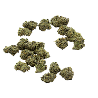 Purple Hills Presents - O