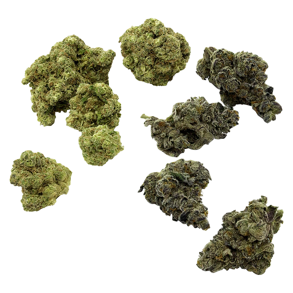 Purple Hills Presents - VCC