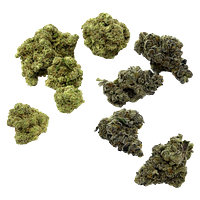 Purple Hills Presents - VCC