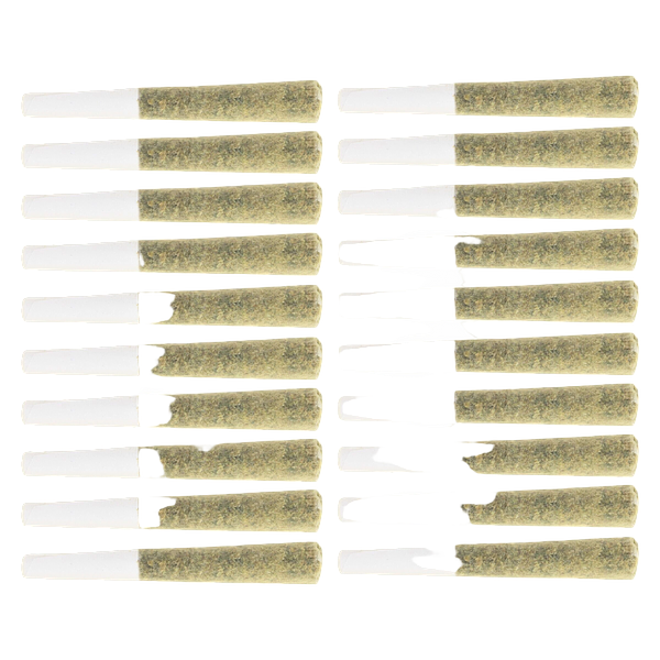 Original Dankster - Shot Caller Pre-roll