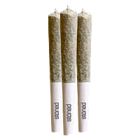 Stoned - Do Si Dos Pre-Rolls