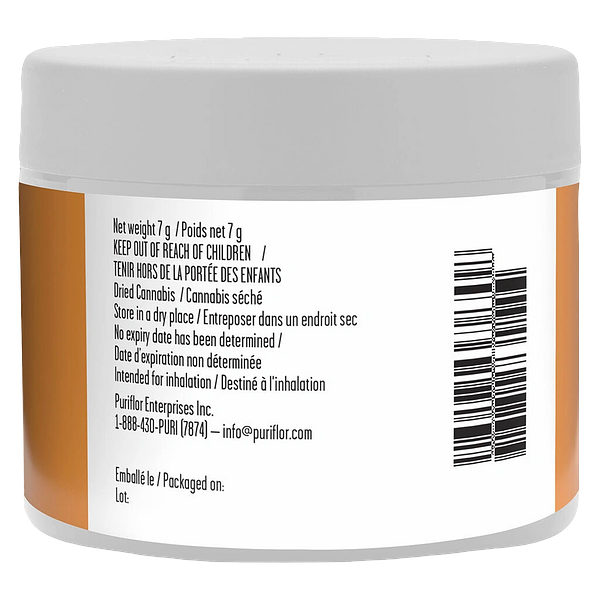 Retro Haze - House Of Hazes