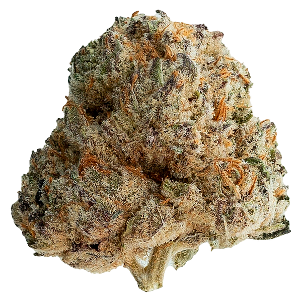 Original Dankster - Shot Caller