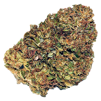 Jonny Chronic - Galactic Spice