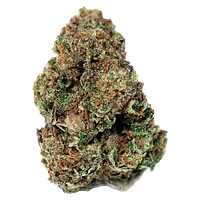 Jonny Chronic - Apricot Head