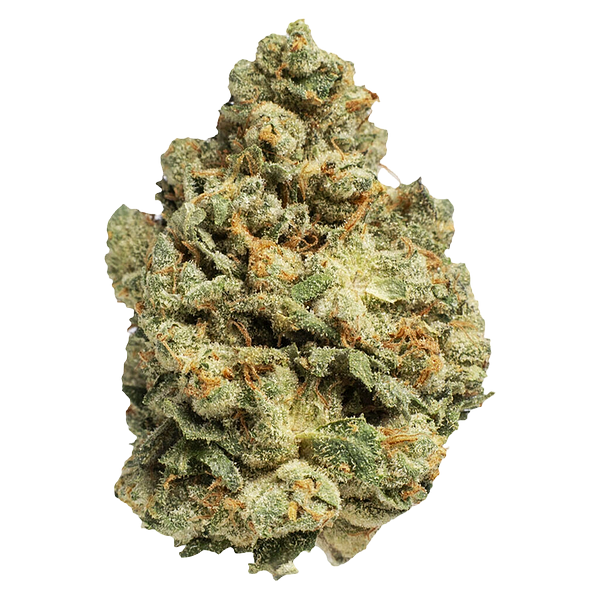 Pepe Gold - Cole's Kush