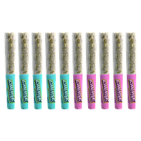 BOXHOT Cruise Control - Spark Plugs: Tropic Trip + Miami Monster Infused Pre-Roll