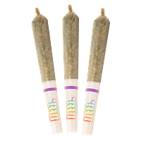 LITTI. - Grape Escape Infused Pre-Roll