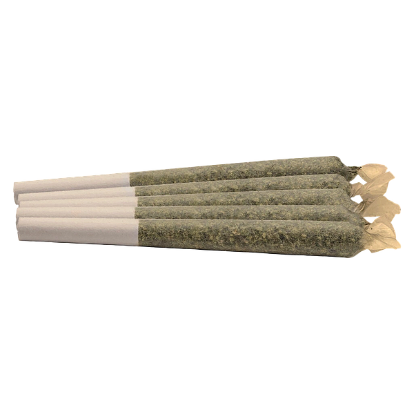 Kingsway - Nightshift High Pre Roll