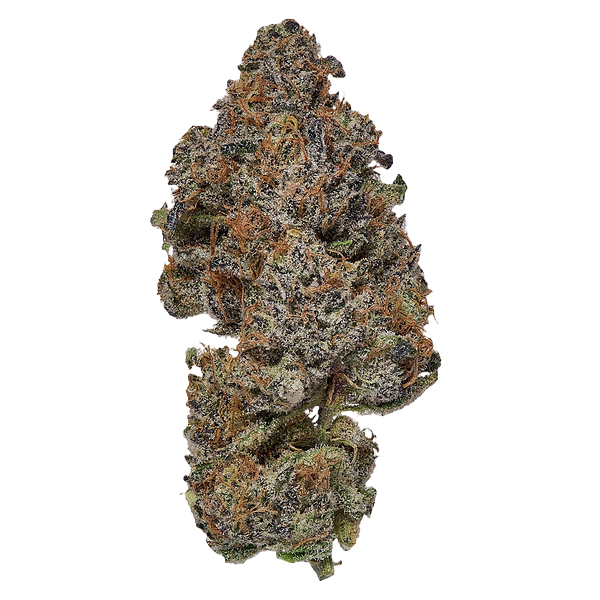 Coterie - Frosted Fruit Cake