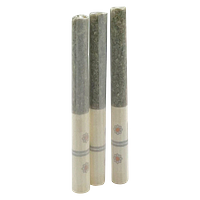 November Rain - Blueberry Blast Pre Roll