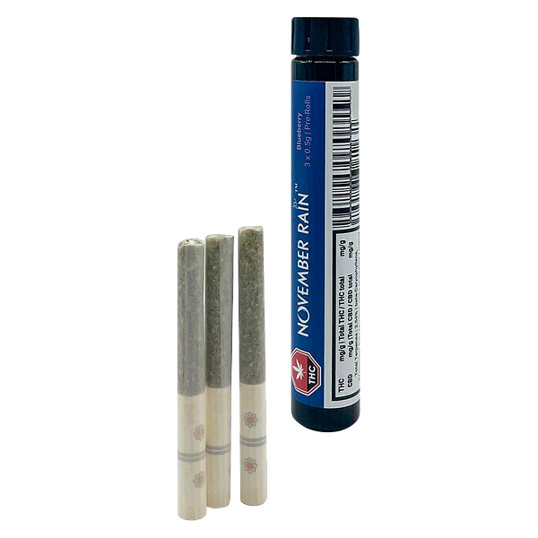 November Rain - Blueberry Blast Pre Roll