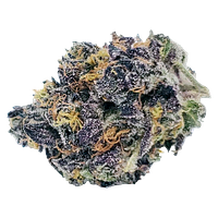 Chubs - Chubby Nuggies