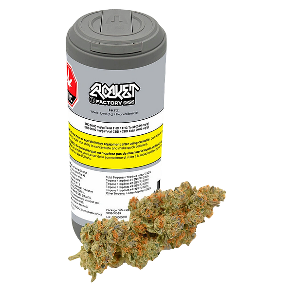 Rocket Factory - Facetz