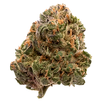 FIGR - Garlic Truffle