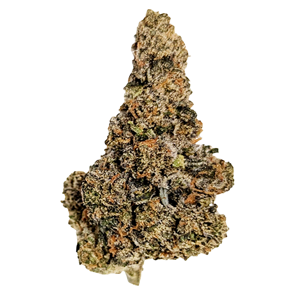 True Fire - Gastro Pop Ultra