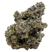 Pistol and Paris - Blackberry Breath